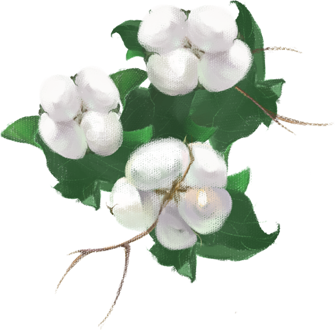 棉花素材图片 高清免抠PNG的创意妙用与获取指南